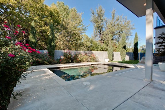 808 Kessler Woods Backyard