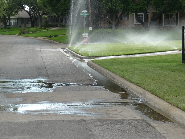 Grass needing water