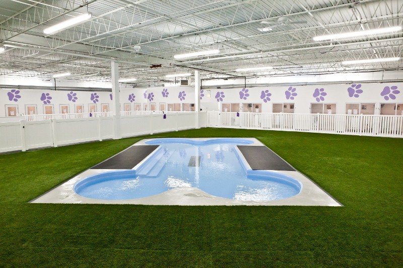 Paradise 4 Paws 2 (800x533)