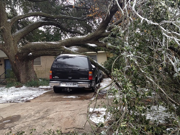 Ice tree on car E Dallas